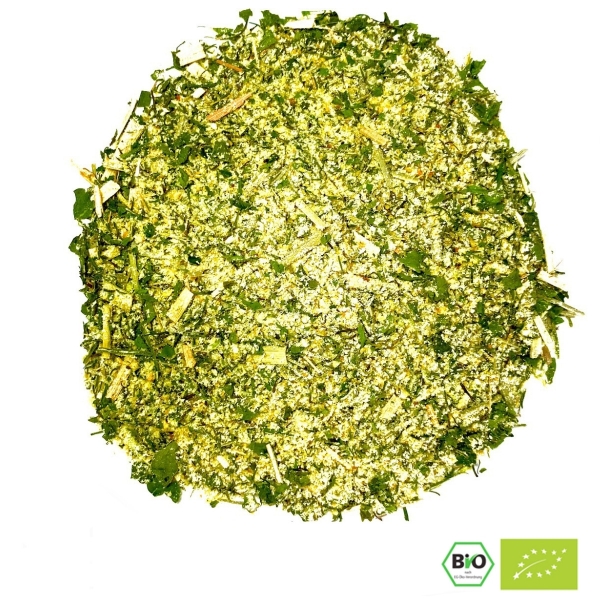 BIO Dip Bella Italia 50g Orientalisches Gewürz Premium