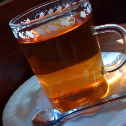 Rooibos